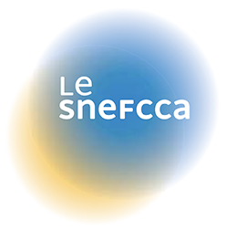 SNEFCCA